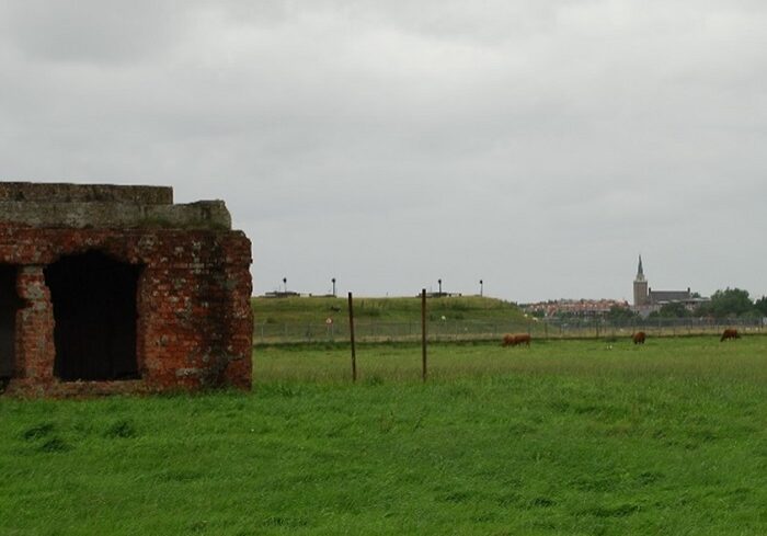 Afbeelding 1